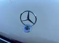 Mercedes-Benz C 220 Elegance Ds. Aut Blanc - thumbnail 21