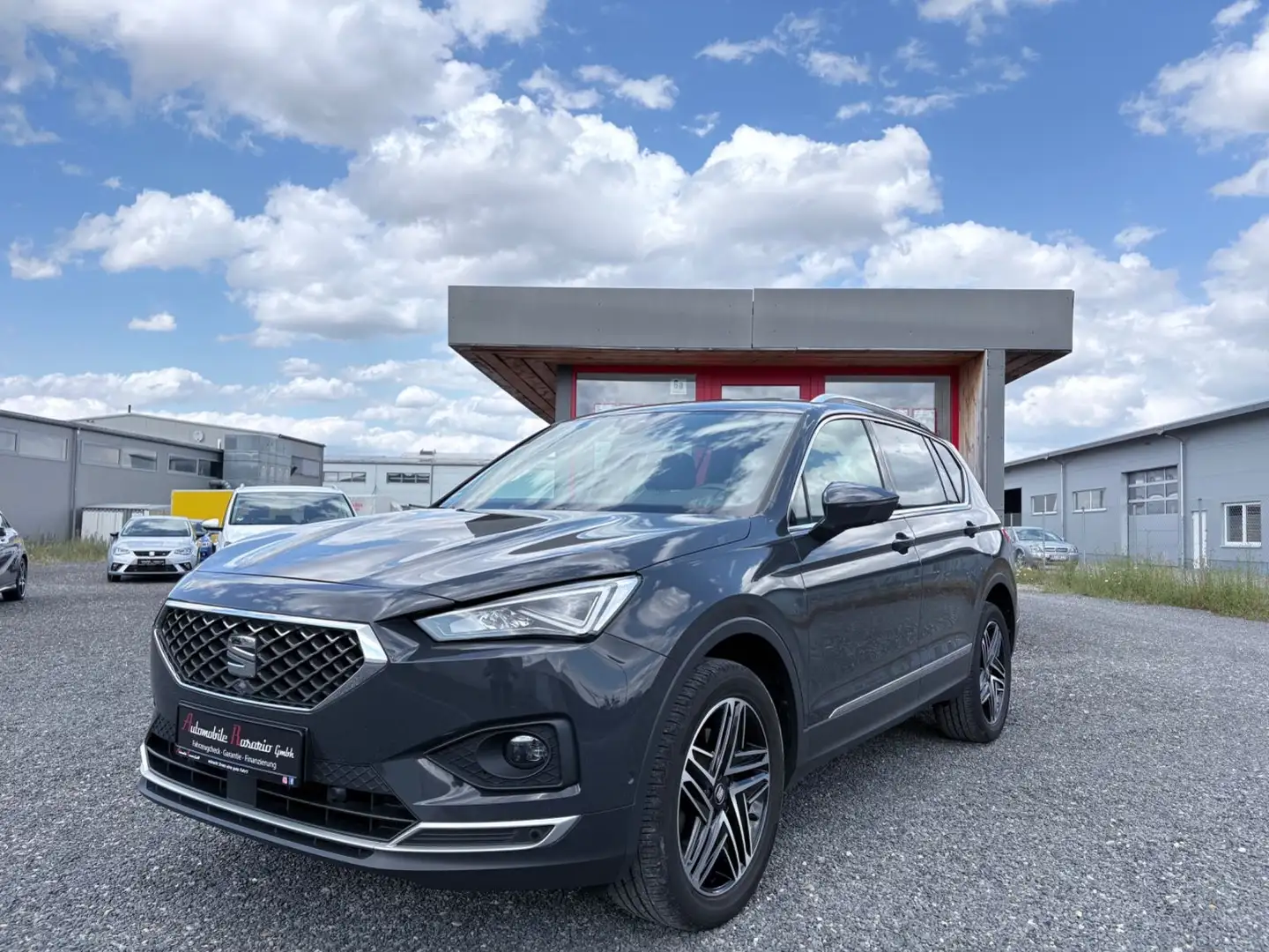 SEAT Tarraco Xcellence 4Drive 360° DSG AHK Beats 19" Grijs - 1