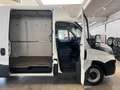 Iveco Daily 35s16 Hi-Matic *Hoch+Lang*AHK 3500KG* Blanco - thumbnail 35