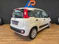 Fiat Panda 1.2 EasyPower Lounge Bianco - thumbnail 5