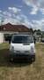 Nissan Primastar Bus L1H1 1,9 TD - thumbnail 2