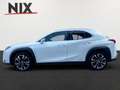 Lexus UX 250h Hybrid Style Edition KAMERA LED Weiß - thumbnail 6