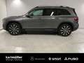 Mercedes-Benz GLB 250 GLB 250 +AHK+Multibeam+Apple+KeyGo+RfK+Ambiente Gris - thumbnail 3