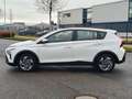 Hyundai BAYON Bayon Trend Mild-Hybrid 2WD*SHZ*RFK*CarPlay* Weiß - thumbnail 2
