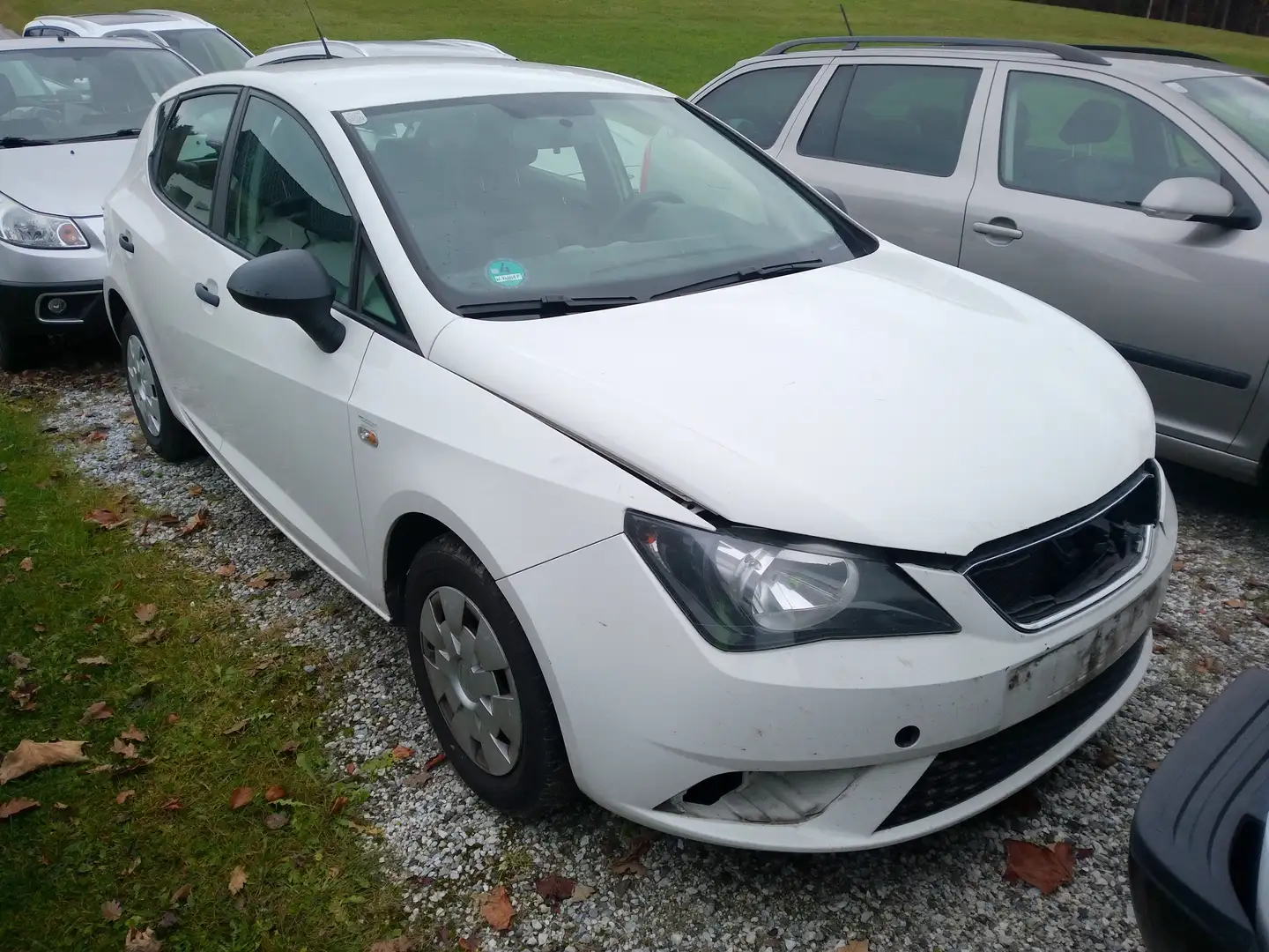 SEAT Ibiza Weiß - 2