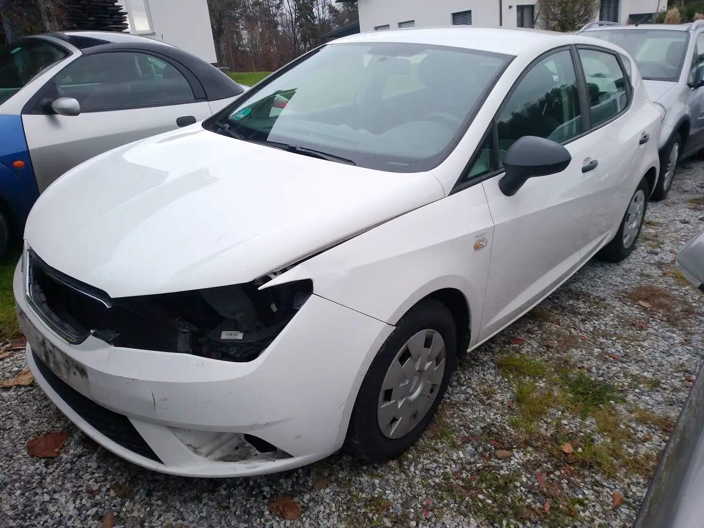 SEAT Ibiza Weiß - 1