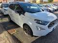 Ford EcoSport 1.0 EcoBoost 125 CV Start&Stop ST-Line km 57000 Blanc - thumbnail 3