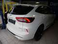 Ford Kuga Hybrid Sound Edition Weiß - thumbnail 30