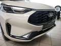 Ford Kuga Hybrid Sound Edition Weiß - thumbnail 3