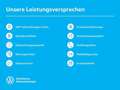 Volkswagen Golf Edition 50 1.5 eTSI DSG Mildhybrid HUD AD El. Pano Blau - thumbnail 17