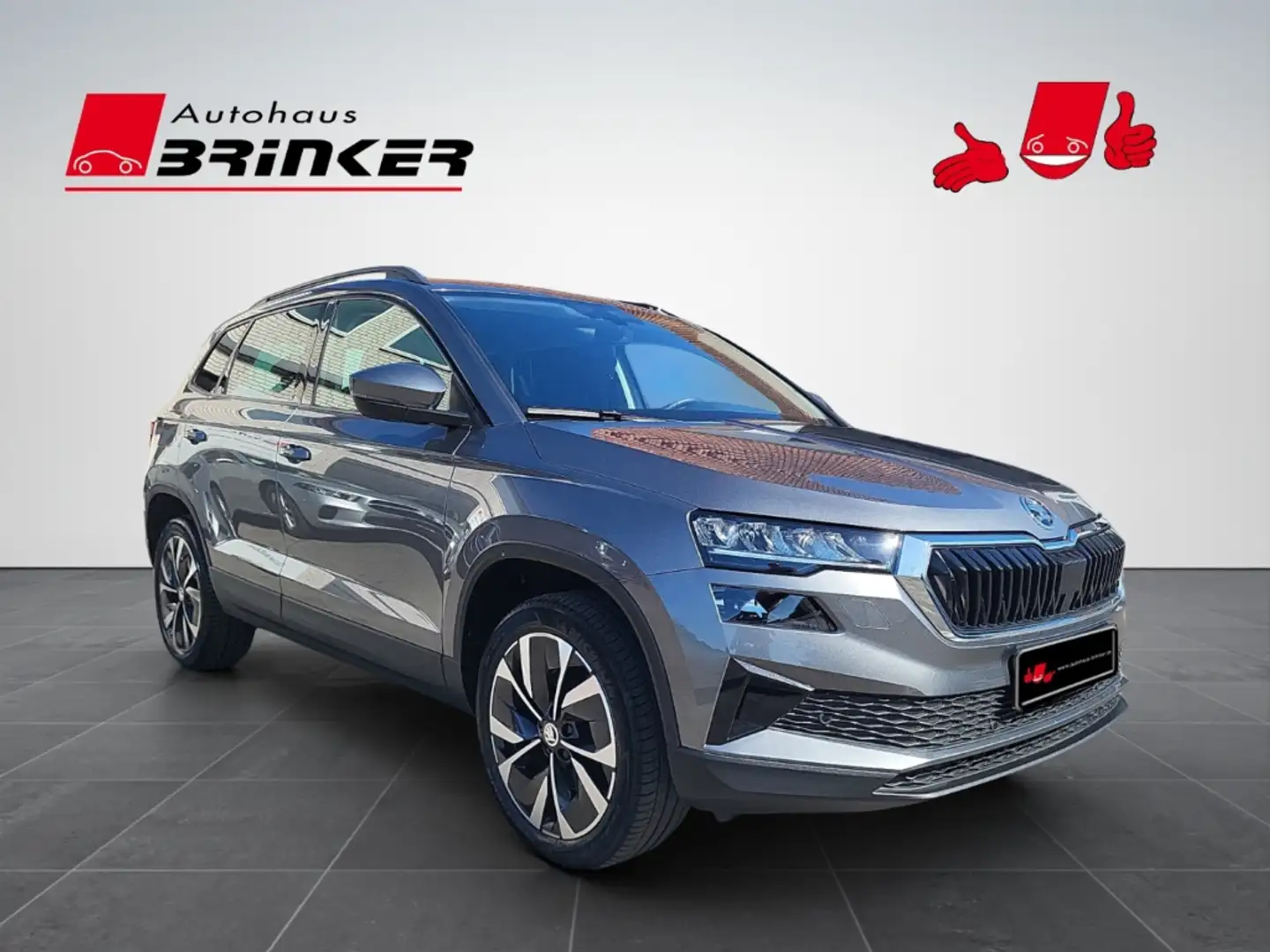 Skoda Karoq Ambition 2.0 TDI EU6d AHK Navi Digitales Cockpit L Grau - 1