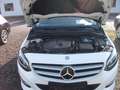 Mercedes-Benz B 200 d Automatik Sport SHZ Comma Distronik AHK White - thumbnail 15