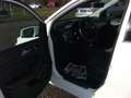 Mercedes-Benz B 200 d Automatik Sport SHZ Comma Distronik AHK White - thumbnail 5