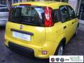 Fiat Panda 1.0 FireFly S&S Hybrid Pandina Urban Km 0 Giallo - thumbnail 10