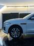 Jaguar F-Pace 2.0i4D R-Sport Aut. AWD 240 Blanco - thumbnail 6