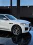 Jaguar F-Pace 2.0i4D R-Sport Aut. AWD 240 Blanco - thumbnail 11