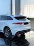 Jaguar F-Pace 2.0i4D R-Sport Aut. AWD 240 Blanco - thumbnail 5