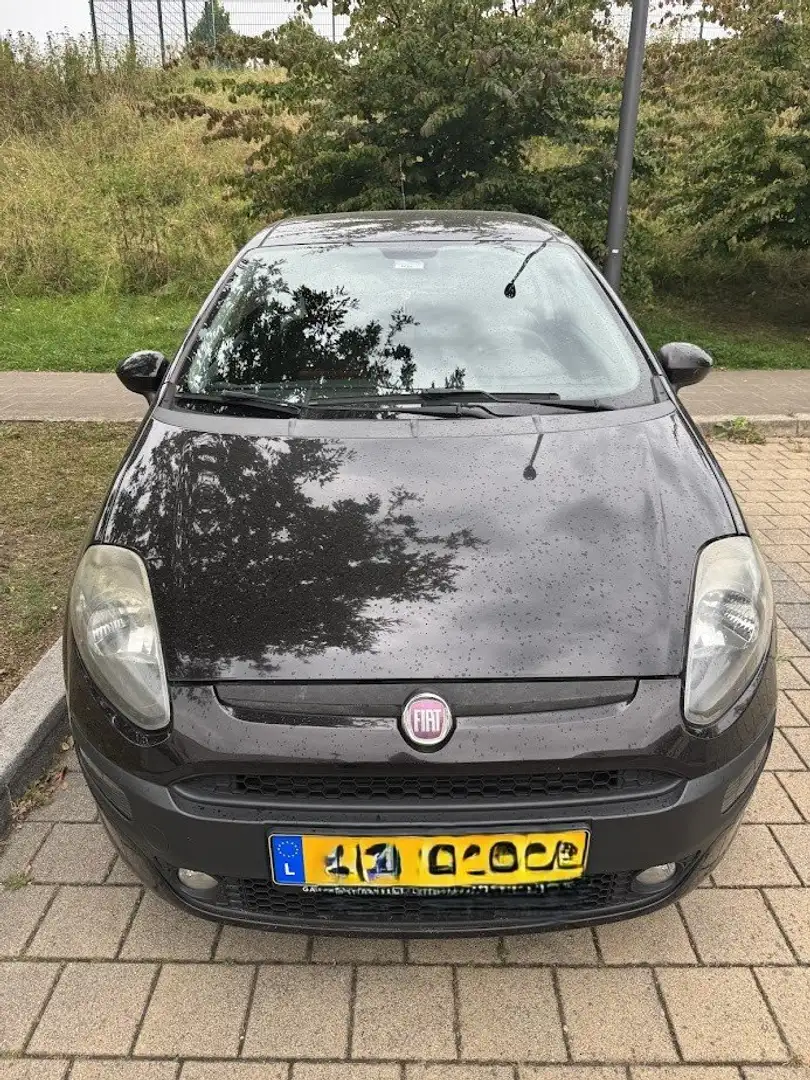Fiat Punto Evo Punto Evo 1.3 16V Multijet Sport Noir - 2