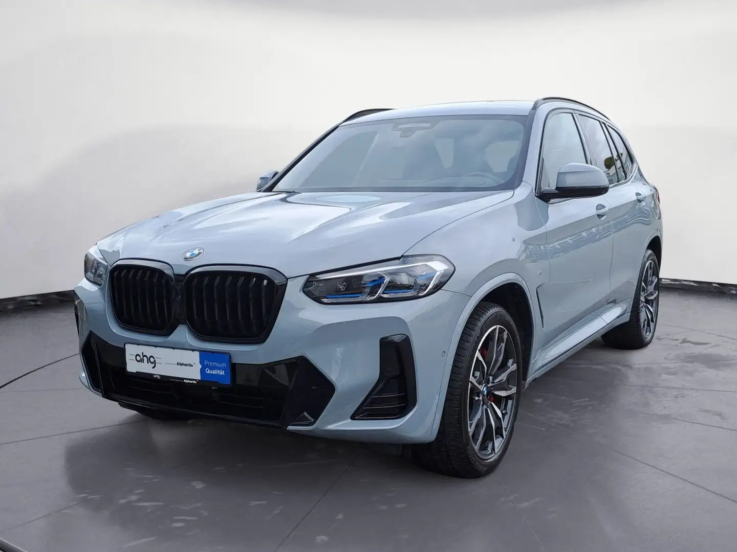 BMW X3 xDrive30i AT M Sportpaket Innovationsp. EDC Grau - 2