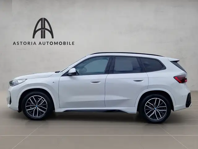 BMW X1 view 10