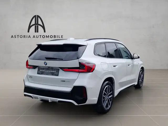 BMW X1 view 9