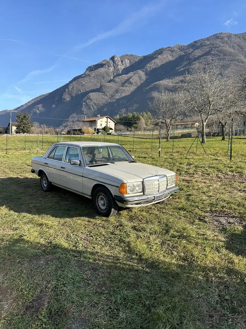 Mercedes-Benz 230 Gri - 1