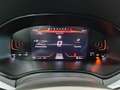 SEAT Ibiza 1.0 TSI S&S Special Edition 115 Gris - thumbnail 12