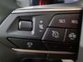 SEAT Ibiza 1.0 TSI S&S Special Edition 115 Gris - thumbnail 9