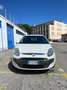 Fiat Punto Evo 5p 1.4 Active 77cv okei neopatentati Bianco - thumbnail 2