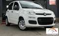Fiat Panda 1.3 MJT 95 CV S&S Easy Bianco - thumbnail 1