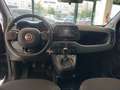 Fiat Panda 1.0 FireFly S&S Hybrid City Cross KM0 Nero - thumbnail 15