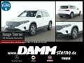 Mercedes-Benz EQB 350 EQB 350 4M ElectricArt/Pano/7Sitze/FAP/360/+Flex Weiß - thumbnail 1