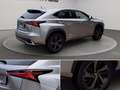 Lexus NX 300 h 2.5 premium 4wd cvt Gris - thumbnail 13