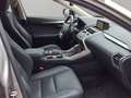 Lexus NX 300 h 2.5 premium 4wd cvt Gris - thumbnail 5