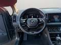 Skoda Karoq Executive 2.0 TDI 85 kW (115 CV) 7 marce - DSG Grigio - thumbnail 9