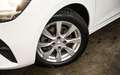 Opel Corsa Corsa 1.2 Turbo Edition S/S (EU6.4AP) Bianco - thumbnail 5
