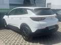 Opel Grandland X 1,5 CDTI * 2. Vorbesitzer * Zahnriemen NEU! * Weiß - thumbnail 5