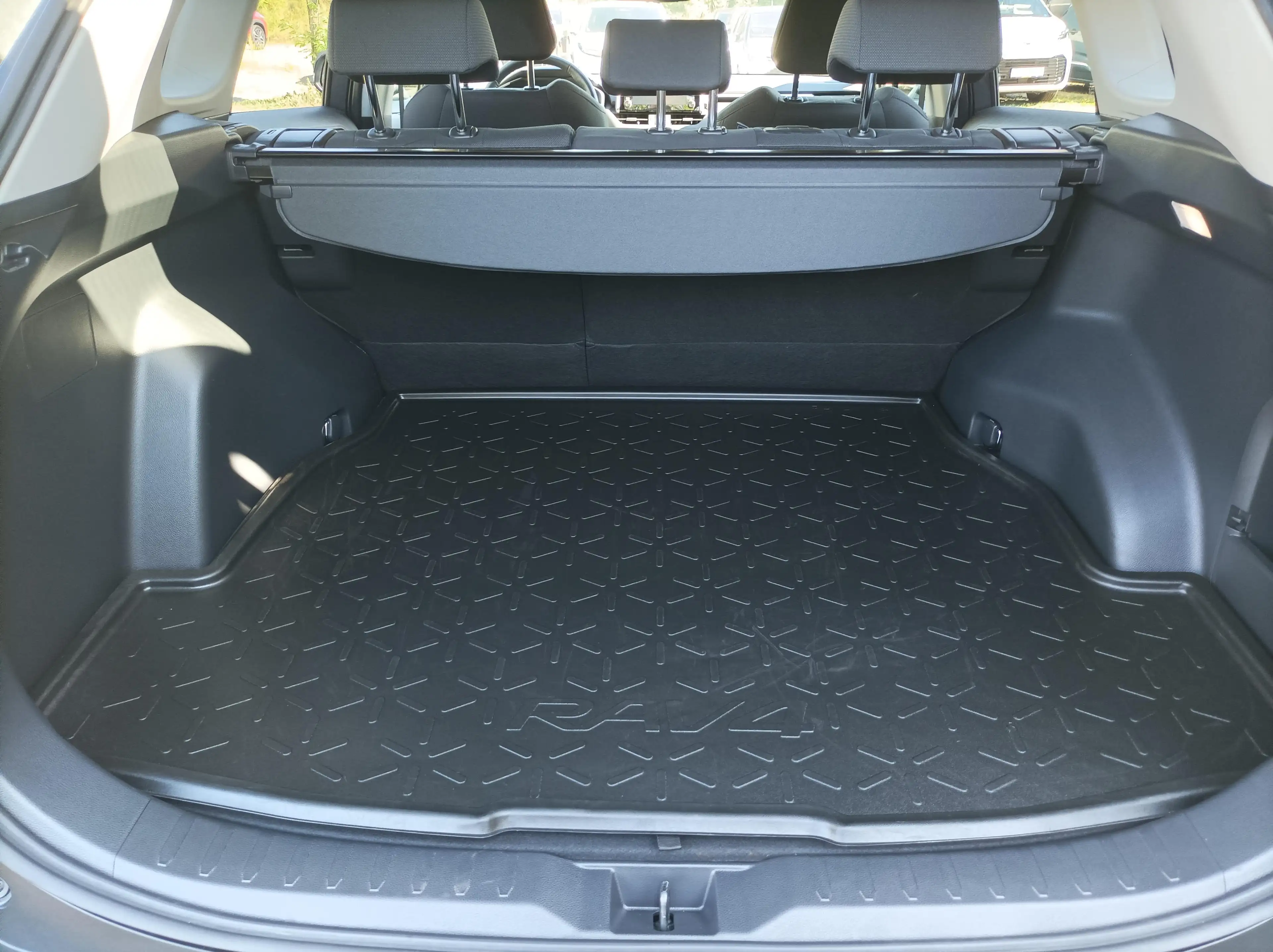 Toyota RAV 4 Hybrid 4x4 Team Deutschland — photo 11