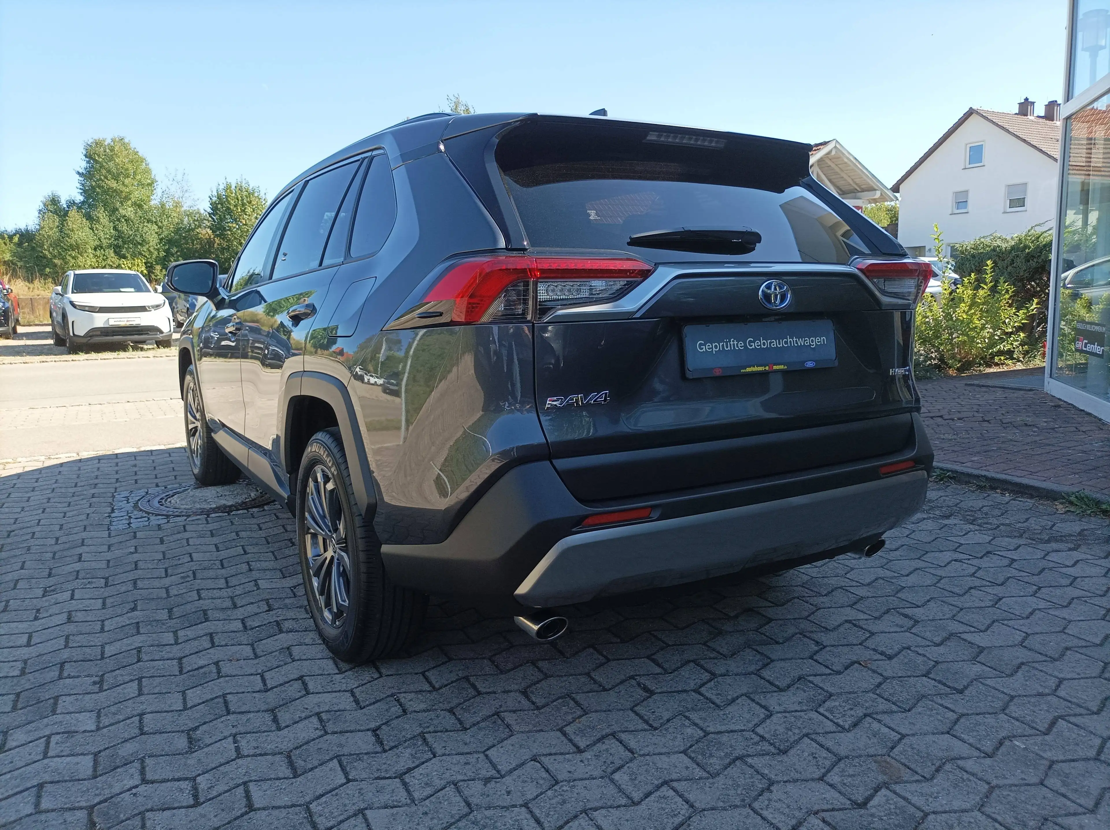 Toyota RAV 4 Hybrid 4x4 Team Deutschland — photo 8
