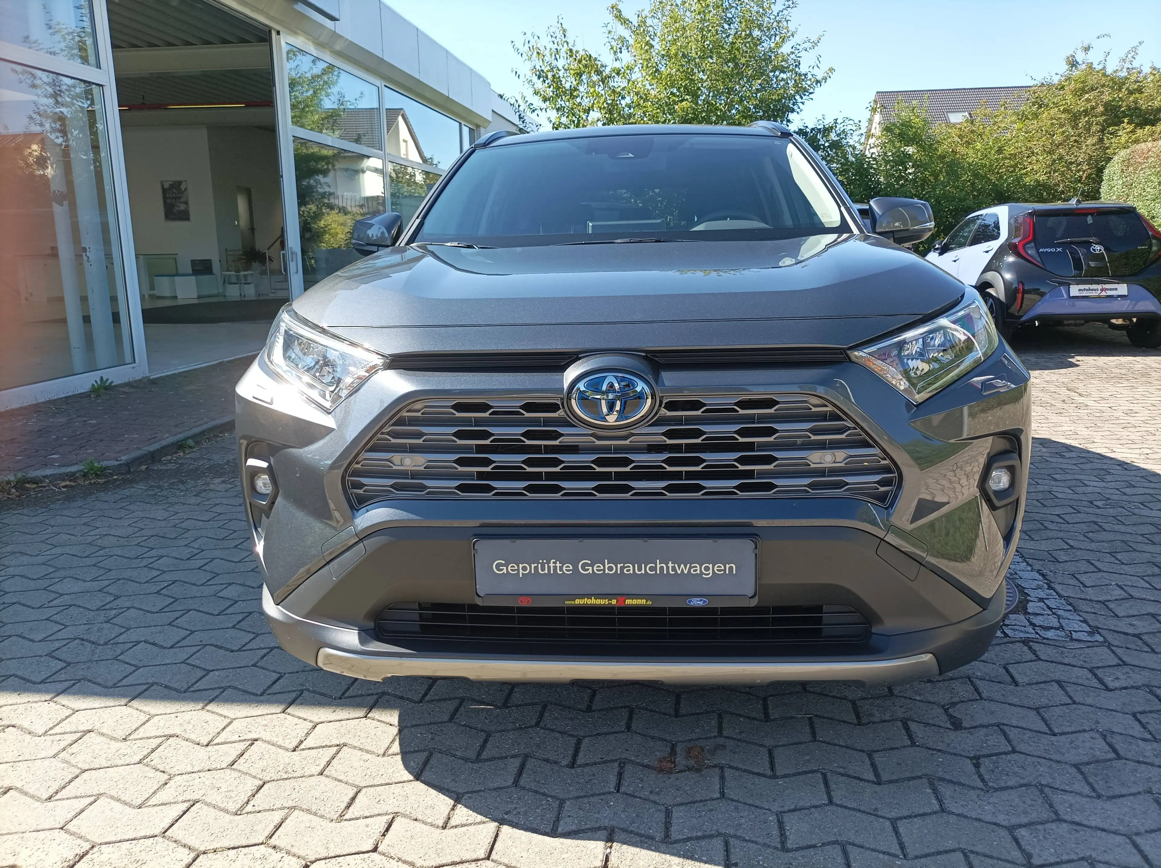 Toyota RAV 4 Hybrid 4x4 Team Deutschland — photo 7