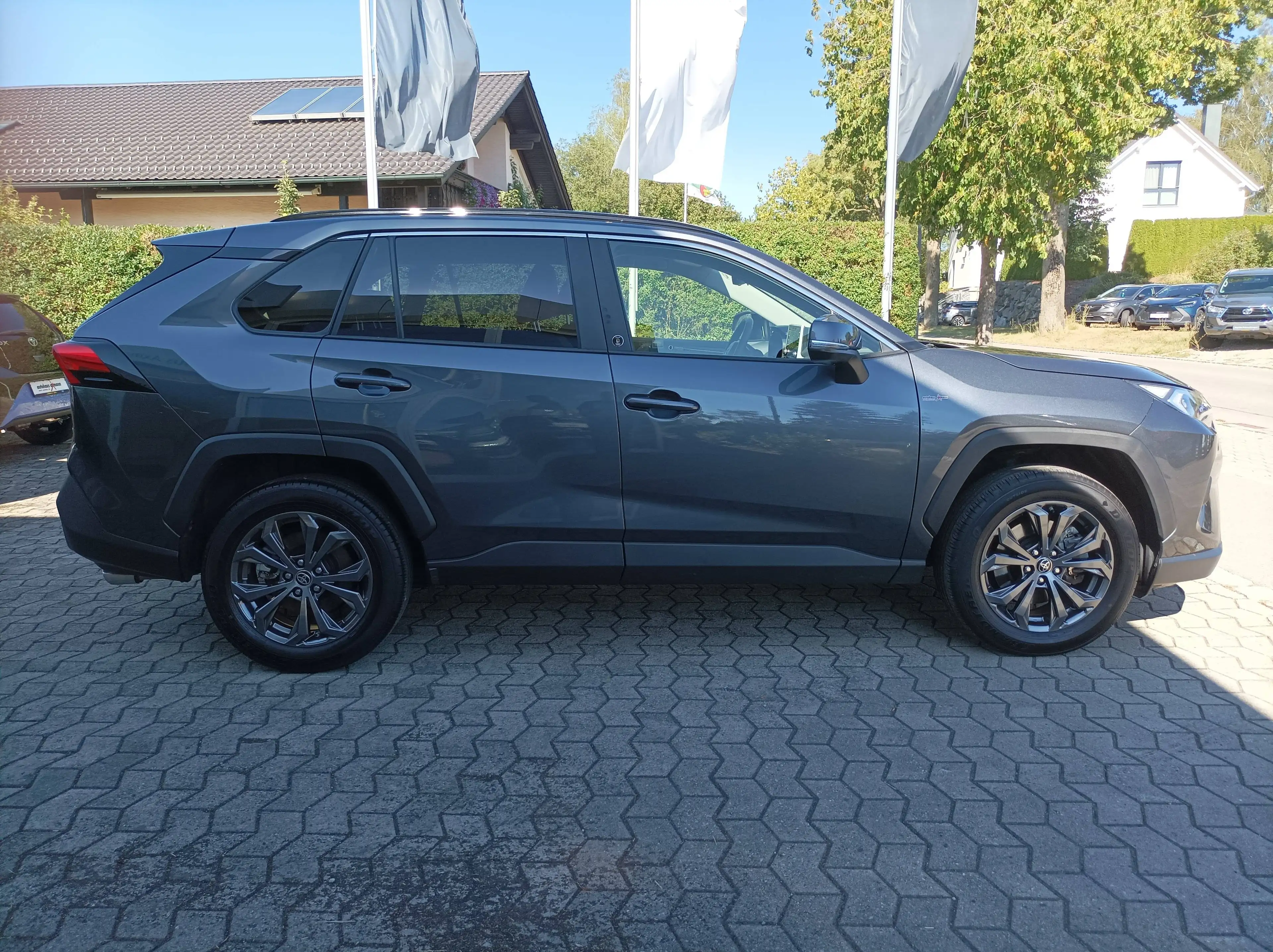 Toyota RAV 4 Hybrid 4x4 Team Deutschland — photo 5