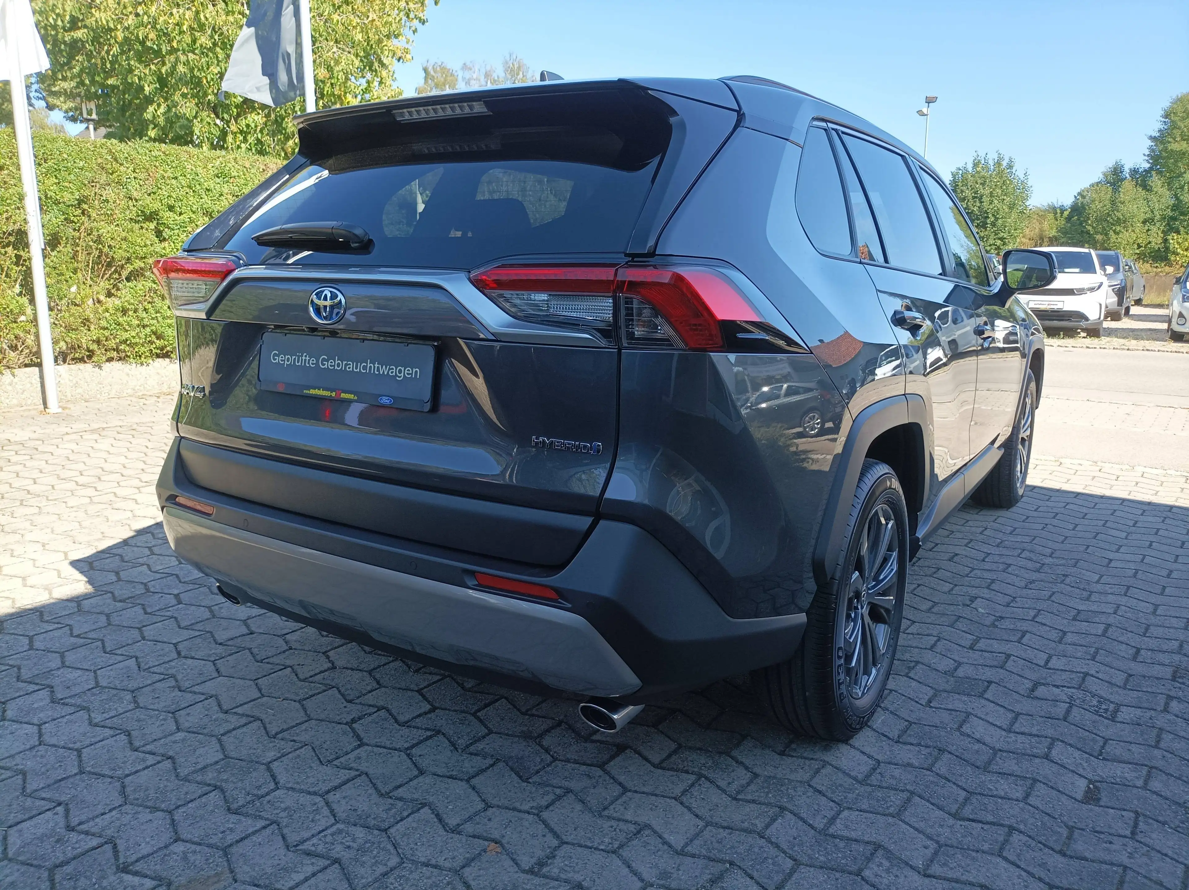 Toyota RAV 4 Hybrid 4x4 Team Deutschland — photo 4