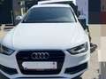 Audi A4 allroad A4 Allroad 2,0 TDI quattro Daylight S-tronic Daylight Weiß - thumbnail 11
