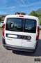 Fiat Doblo Fiat Doblò Cargo combi N1 1.3 mjt 16v 95cv E6 Bianco - thumbnail 11