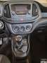 Fiat Doblo Fiat Doblò Cargo combi N1 1.3 mjt 16v 95cv E6 Bianco - thumbnail 13