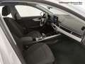 Audi A4 40 2.0 tdi business advanced 190cv s-tronic Blanco - thumbnail 16