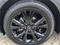 Mazda CX-30 2.0l Skyactiv-X Nagisa Teilleder Bose Navi NEU 202 Weiß - thumbnail 8