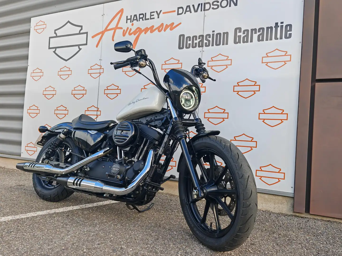 Harley-Davidson Sportster Wit - 2