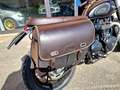 Triumph Street Twin STREET TWIN 900 Bruin - thumbnail 10