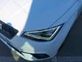 SEAT Ibiza 1.0 TSI S&S Style 110 Wit - thumbnail 22